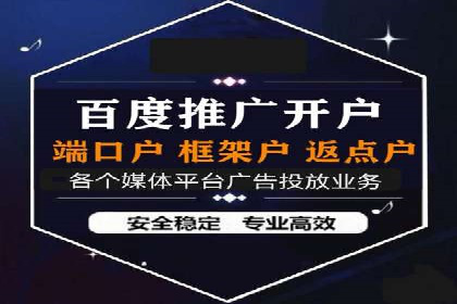 SEO百度推广策略：成功案例解析